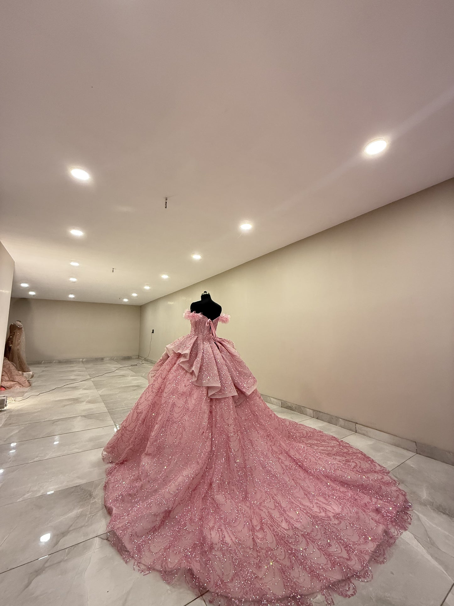 Rosy Aqua Pink Ball Gown